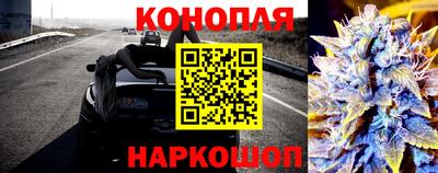 сатива Бугуруслан