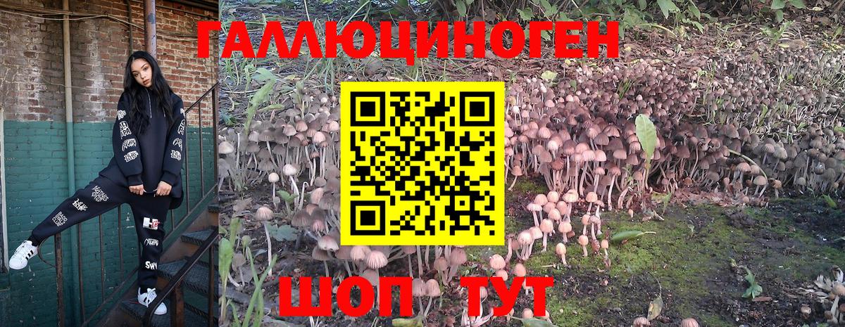 Псилоцибиновые грибы Magic Shrooms  Вход с VPN  Псилоцибиновые грибы ЛСД  Сатка 